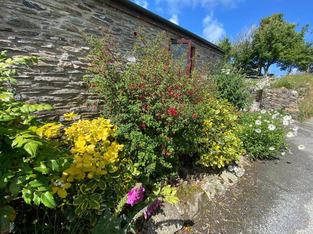 Holiday home Polrunny Farm Elderberry With Sea View *