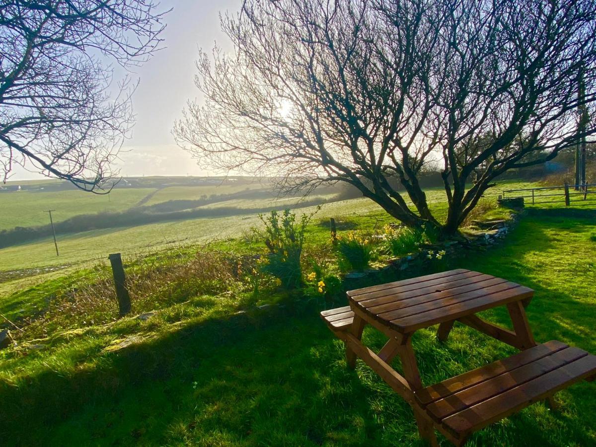 Holiday home Polrunny Farm Elderberry With Sea View *