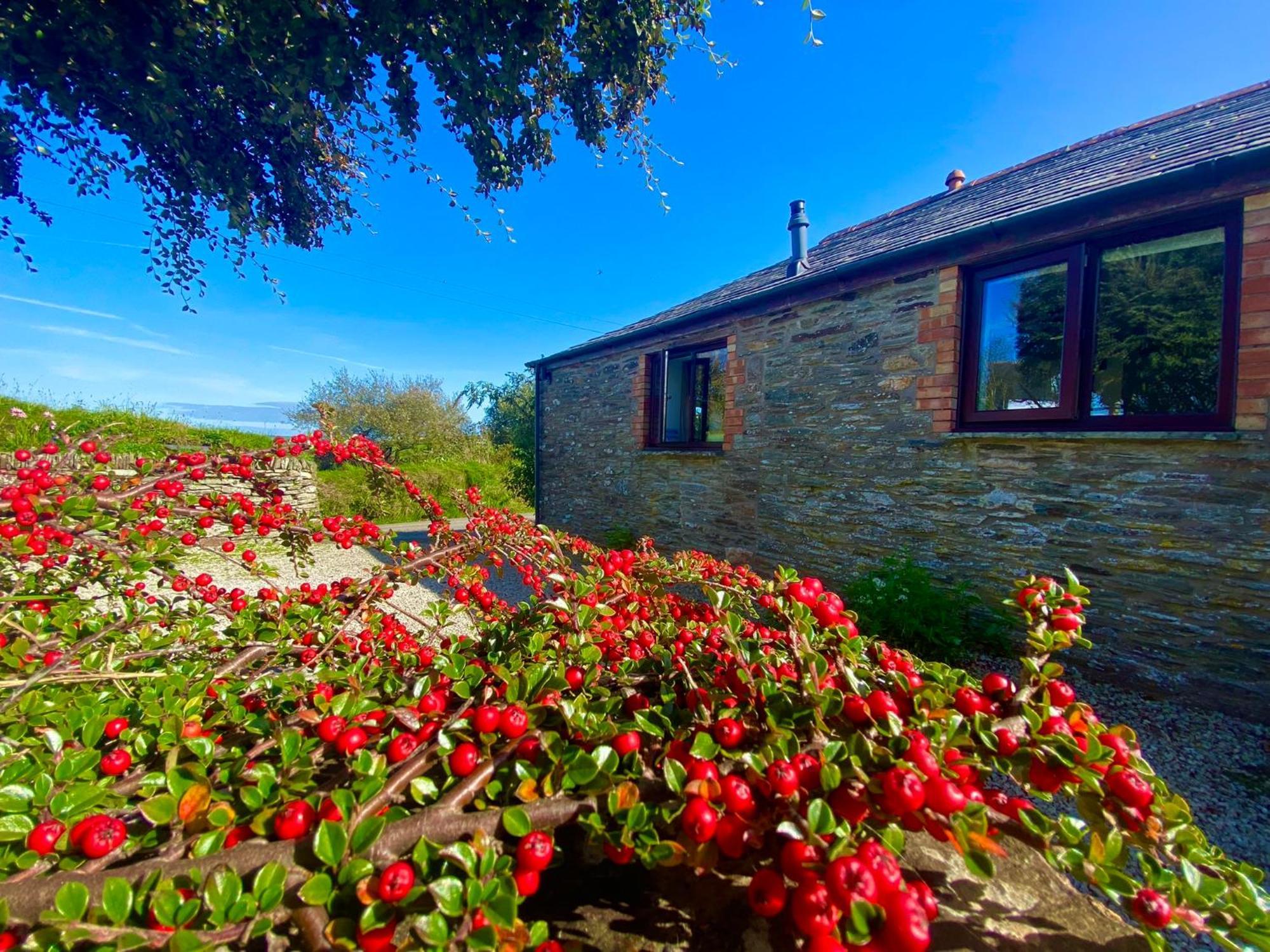 Polrunny Farm Elderberry With Sea View Holiday home